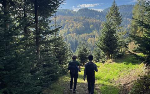 11_german_black_forest.jpg