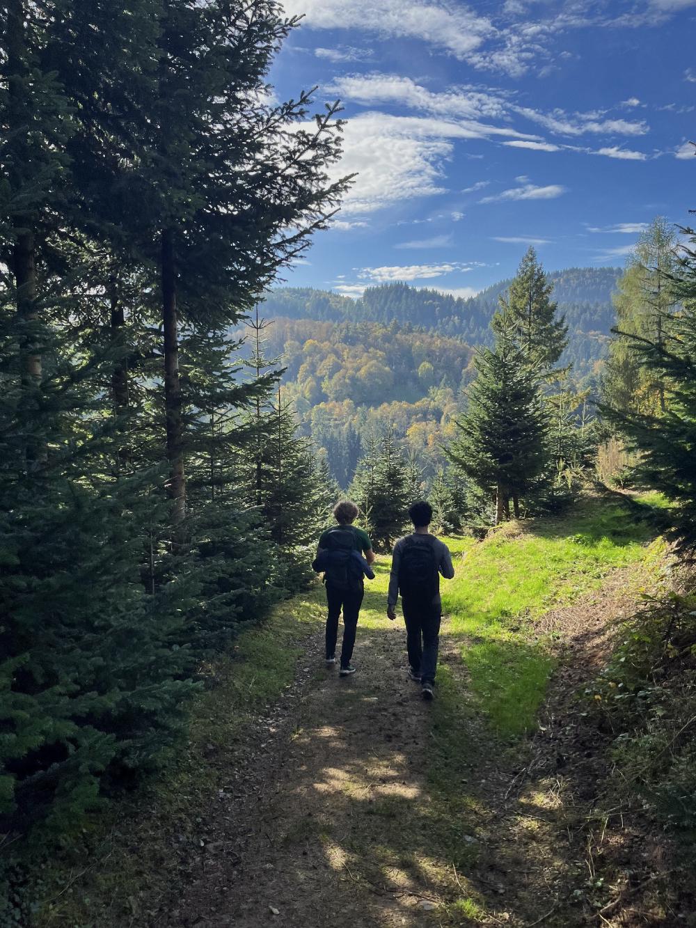 11_german_black_forest.jpg