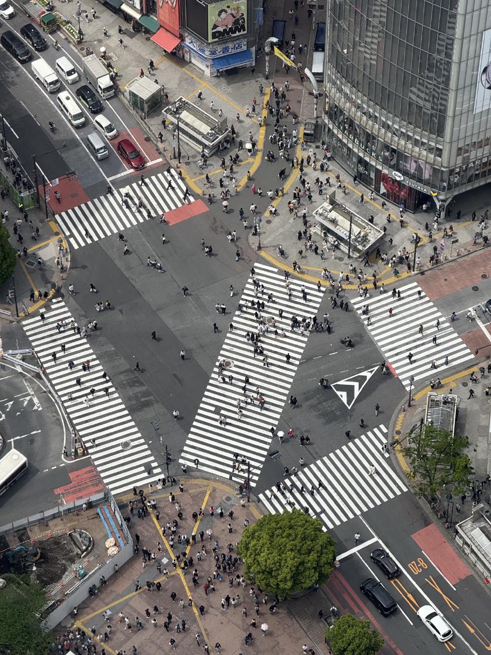 17_shibuya_crossing.jpg